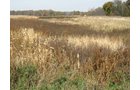 Property photo 16 - 212 Acres Offered in 6 Tracts - Selling Regardless of Price

